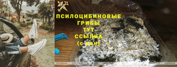 синтетический гашиш Богородск
