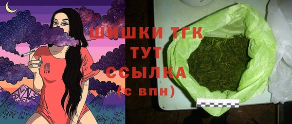 скорость Богородицк