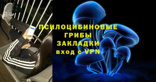 наркотики Богданович