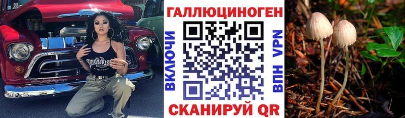 закладки Тосно Псилоцибиновые грибы Magic Shrooms